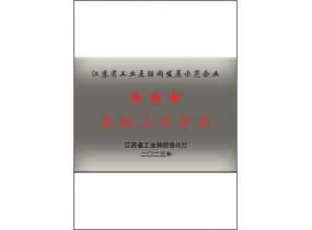 星級上云企業(yè)